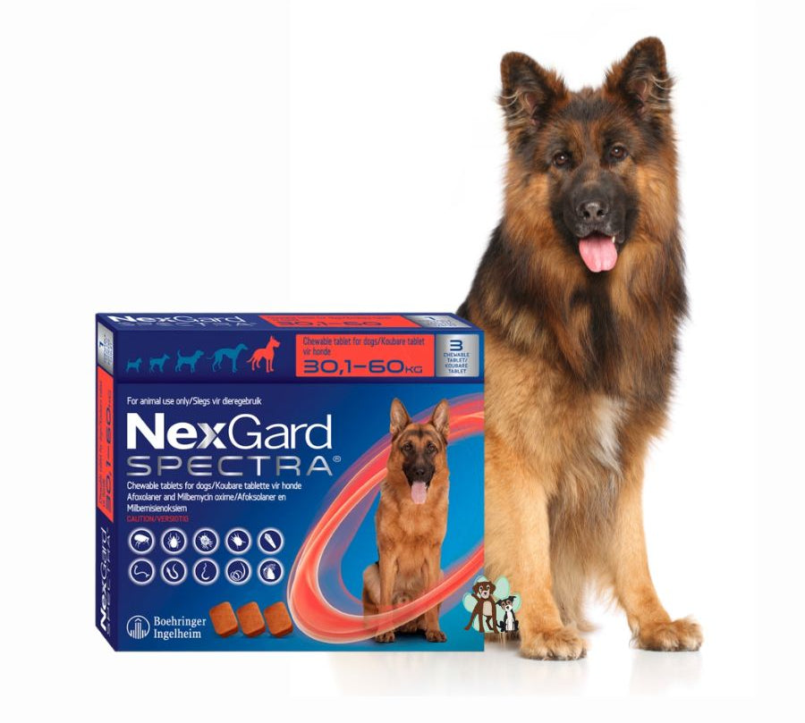 Nexgard Spectra 30.1 a 60 kg 3 comprimido, antiparasitario masticable con sabor a carne que protege contra pulgas, garrapatas y parásitos internos por 1 mes.