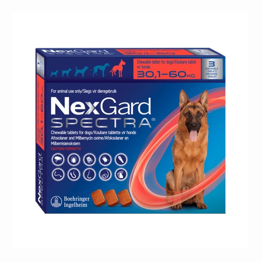 Nexgard Spectra 30.1 a 60 kg 3 comprimido, antiparasitario masticable con sabor a carne que protege contra pulgas, garrapatas y parásitos internos por 1 mes.