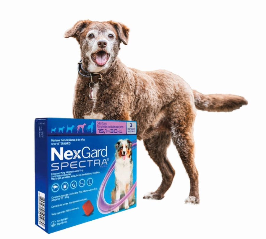 Nexgard Spectra 15.1 a 30 kg 3 comprimidos, antiparasitario masticable con sabor a carne que protege contra pulgas, garrapatas y parásitos internos por 1 mes.