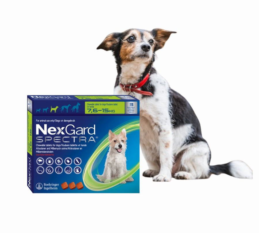 Nexgard Spectra 7.6 a 15 kg 3 compridmidos, antiparasitario masticable con sabor a carne que protege contra pulgas, garrapatas y parásitos internos por 1 mes.