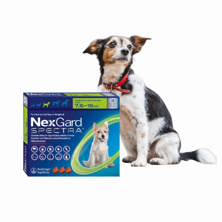 Nexgard Spectra 7.6 a 15 kg 3 compridmidos, antiparasitario masticable con sabor a carne que protege contra pulgas, garrapatas y parásitos internos por 1 mes.