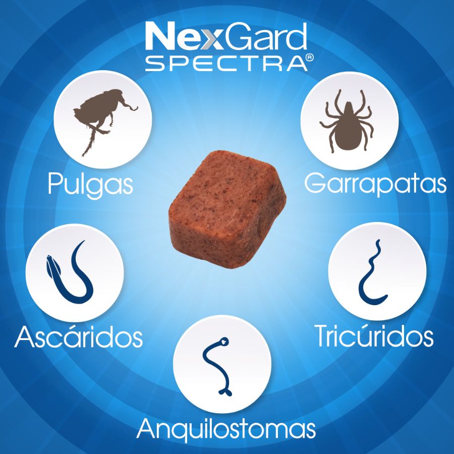 Nexgard Spectra 7.6 a 15 kg 3 compridmidos, antiparasitario masticable con sabor a carne que protege contra pulgas, garrapatas y parásitos internos por 1 mes.