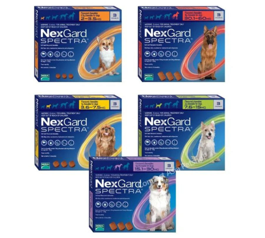 Nexgard Spectra 2 a 3.5 kg, antiparasitario masticable con sabor a carne que protege contra pulgas, garrapatas y parásitos internos por 1 mes. B-Pets