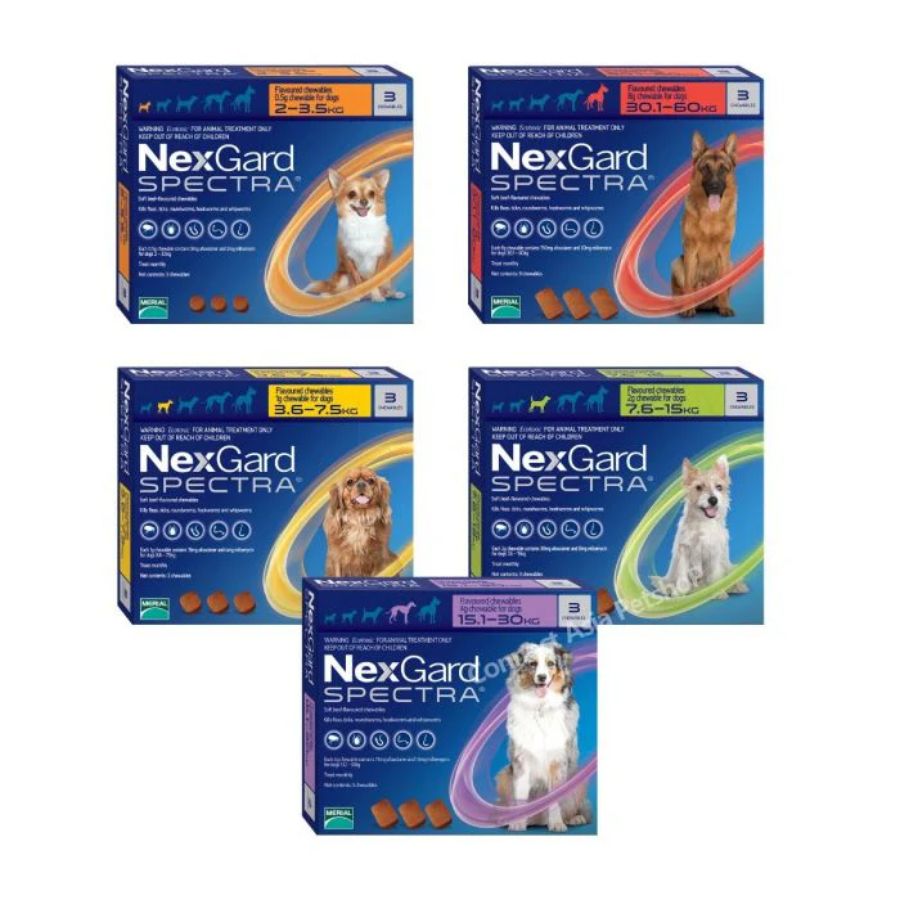 Nexgard Spectra 2 a 3.5 kg, antiparasitario masticable con sabor a carne que protege contra pulgas, garrapatas y parásitos internos por 1 mes. B-Pets