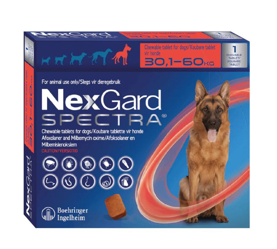 Nexgard Spectra 30.1 a 60 kg, antiparasitario masticable con sabor a carne que protege contra pulgas, garrapatas y parásitos internos por 1 mes.