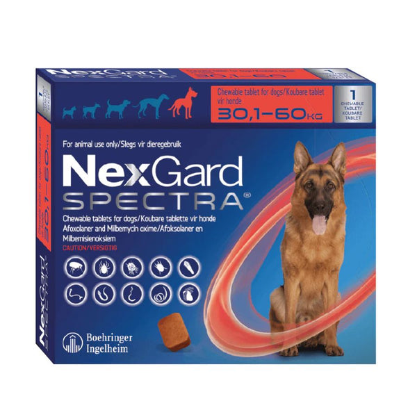 Nexgard Spectra 30.1 a 60 kg, antiparasitario masticable con sabor a carne que protege contra pulgas, garrapatas y parásitos internos por 1 mes.