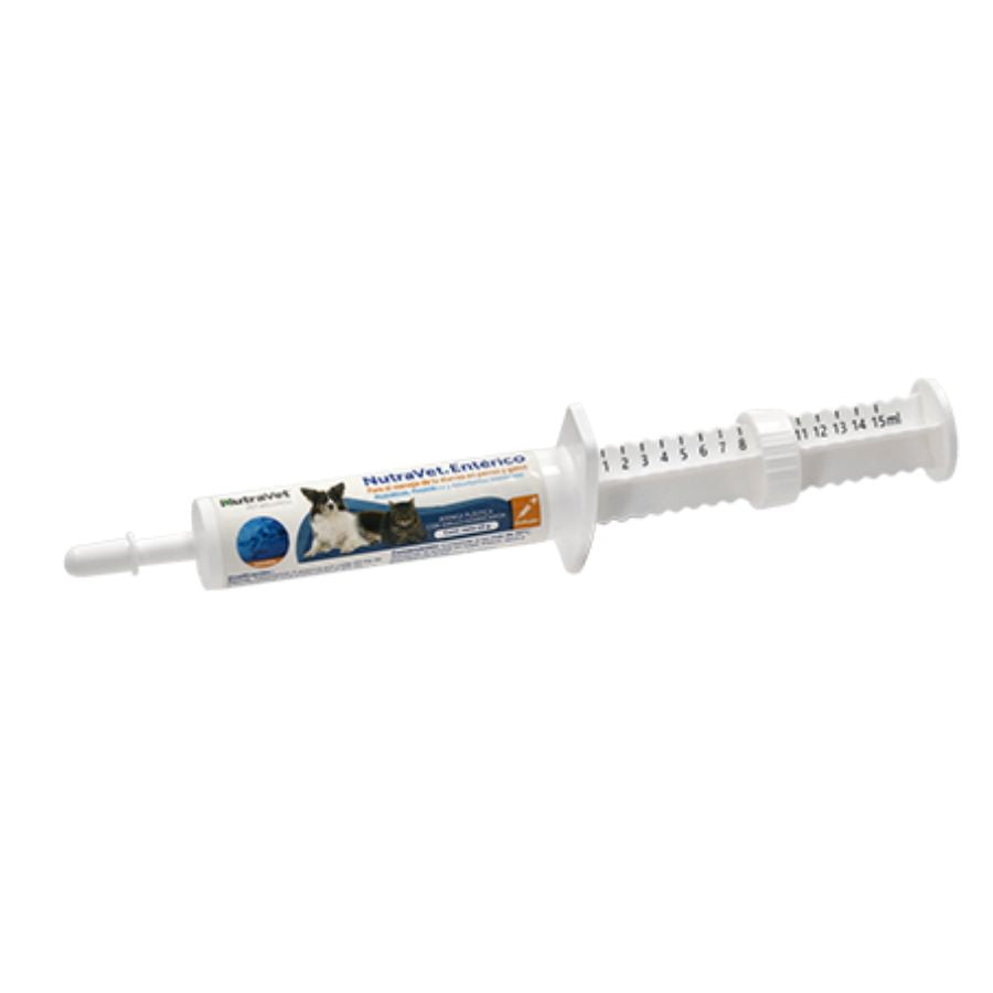 NutraVet Entérico 15g suplemento con probióticos y prebióticos para perros y gatos. Ideal para controlar la diarrea y mejorar la salud digestiva.