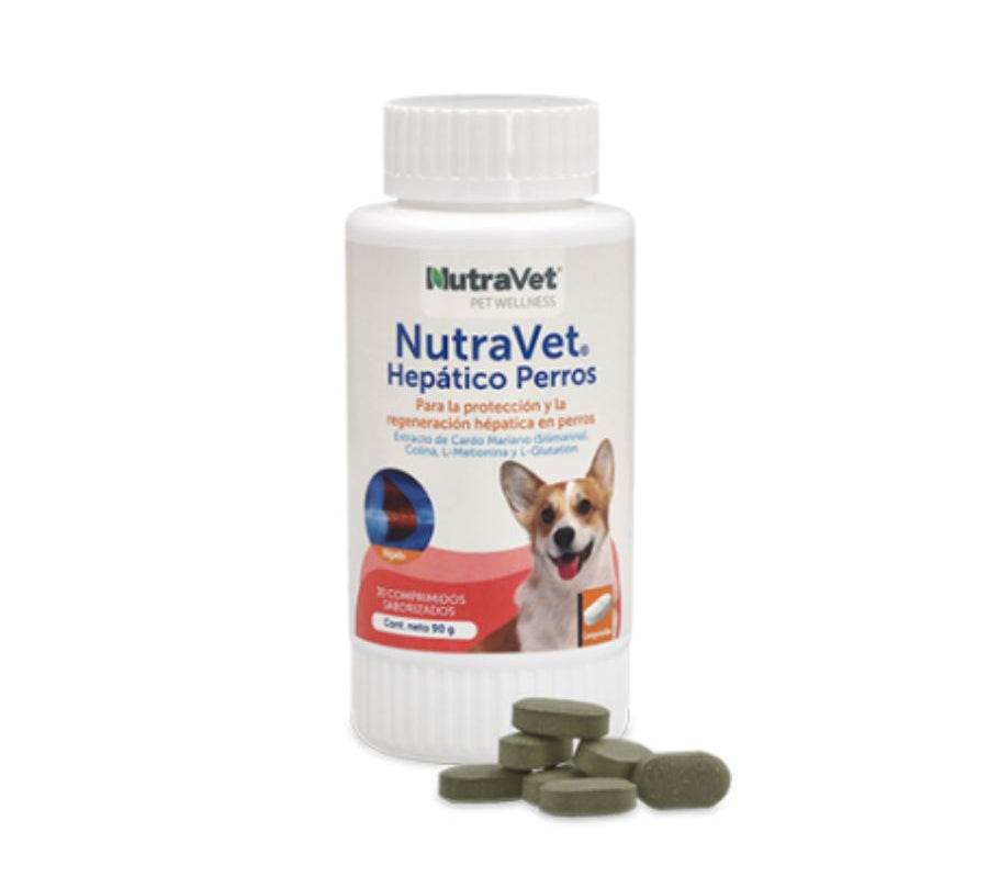 NutraVet Hepático para Perros suplemento con cardo mariano, metionina y antioxidantes. Favorece la salud del hígado y la eliminación natural de toxinas.