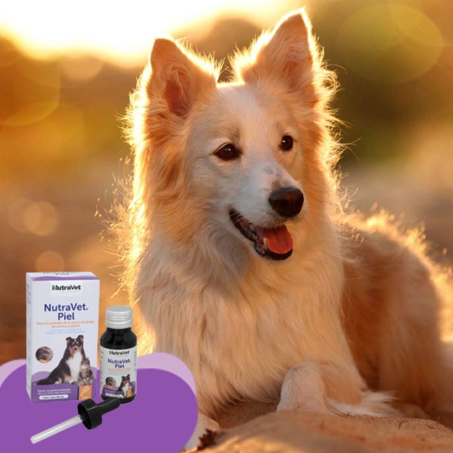 NutraVet Piel 50ml suplemento líquido con omega 3, 6 y vitaminas que mejora la piel, el pelaje y las uñas de tu mascota. Ideal para dermatitis.