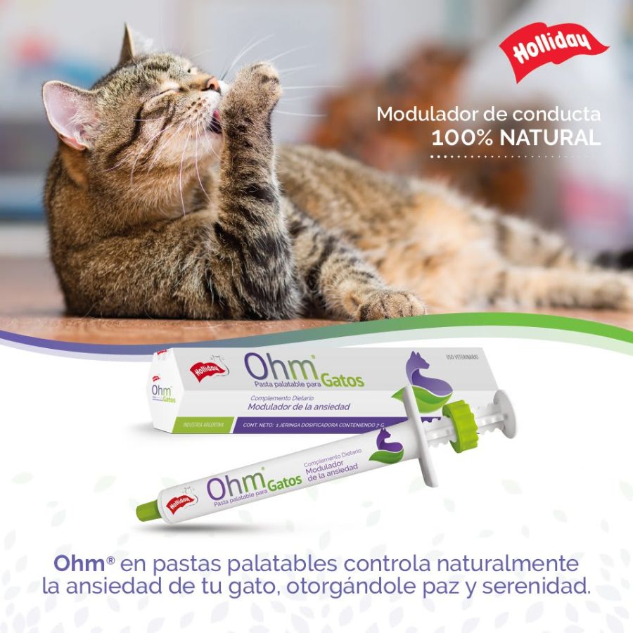 Ohm Pasta Para Gatos - Modulador De Ansiedad, fórmula natural con triptófano, valeriana y teanina. Ayuda a reducir el estrés y mejora la conducta felina.