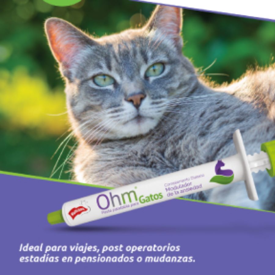 Ohm Pasta Para Gatos - Modulador De Ansiedad, fórmula natural con triptófano, valeriana y teanina. Ayuda a reducir el estrés y mejora la conducta felina.