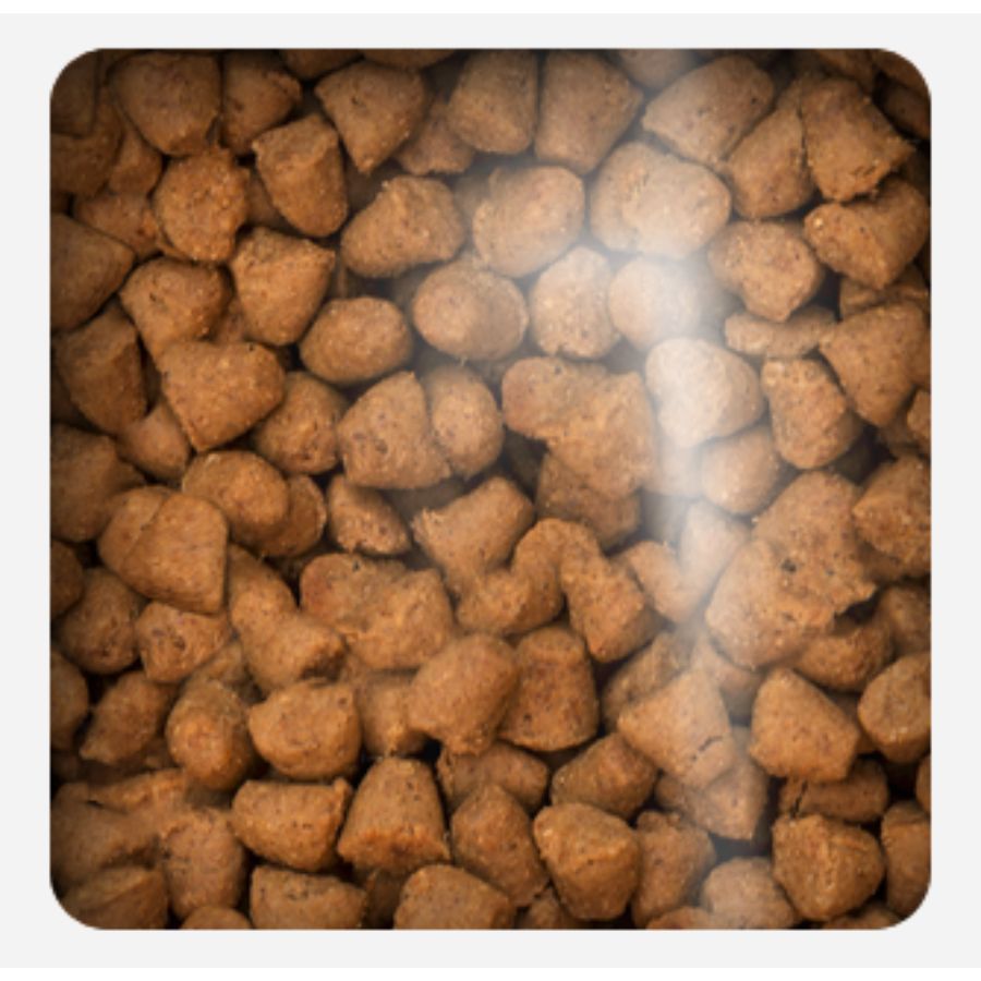 Oven-Baked Tradition Adult Small Breeds Pollo Deshuesado: Alimento natural y holístico para perros adultos de razas pequeñas, con pollo fresco deshuesado y sin sabores ni conservantes artificiales. 🐾🐕