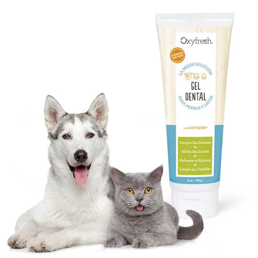 Oxyfresh Gel Dental  limpia, calma y desodoriza los dientes y encías de tu mascota con aloe y Oxygene®. Ideal para uso diario sin sabor ni olor. B-Pets