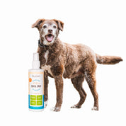 Oxyfresh Spray Dental 237ml elimina el mal aliento y previene sarro al instante, con fórmula segura e insípida recomendada por veterinarios.
