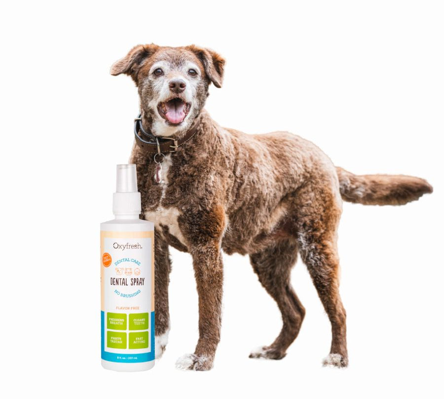 Oxyfresh Spray Dental 237ml elimina el mal aliento y previene sarro al instante, con fórmula segura e insípida recomendada por veterinarios.