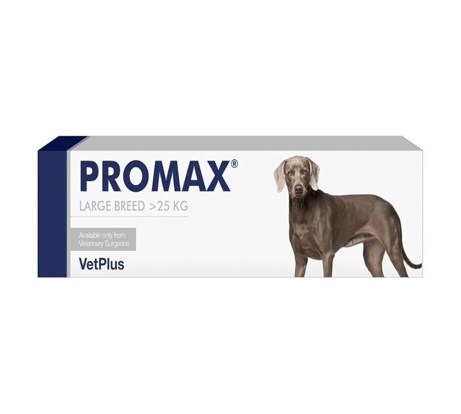 PROMAX 30 ml para perros de razas grandes 🐶 es un antidiarreico de triple acción con probióticos y prebióticos. Restaura la salud intestinal de forma rápida y segura.