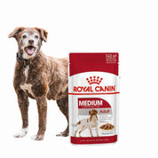 Pack 10x Royal Canin Medium Adult Pouch: Alimento húmedo para perros adultos de raza mediana. Ofrece energía adaptada, apoya la salud digestiva y del pelaje, y refuerza las defensas naturales.