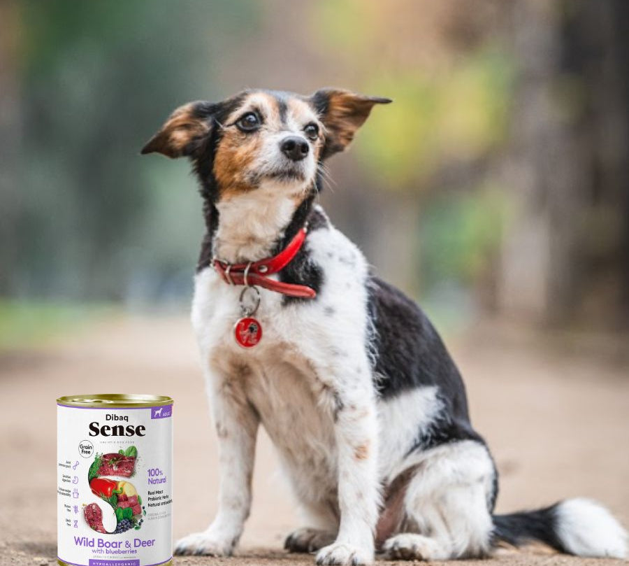 Pack 12x Dibaq Sense Alimento Húmedo Ciervo & Jabalí Lata, receta natural grain free con carnes frescas, antioxidantes y protectores articulares.