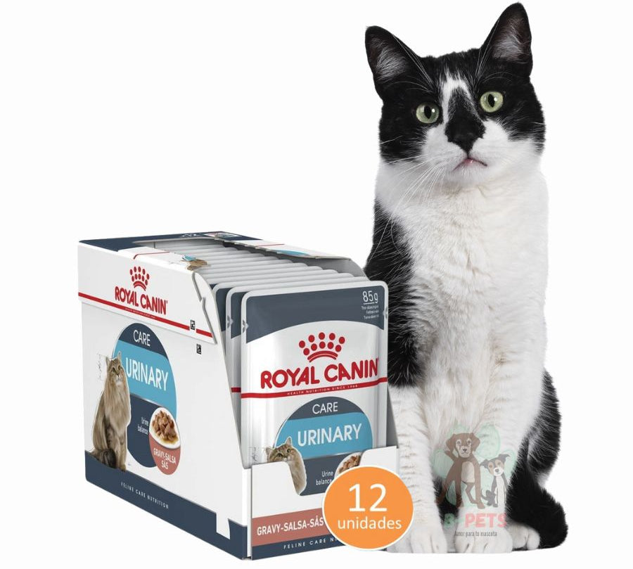 Pack 12x Royal Canin Gato Urinary Care Pouch 85g, alimento húmedo que promueve un tracto urinario saludable. Textura en salsa, alta palatabilidad y eficacia comprobada.