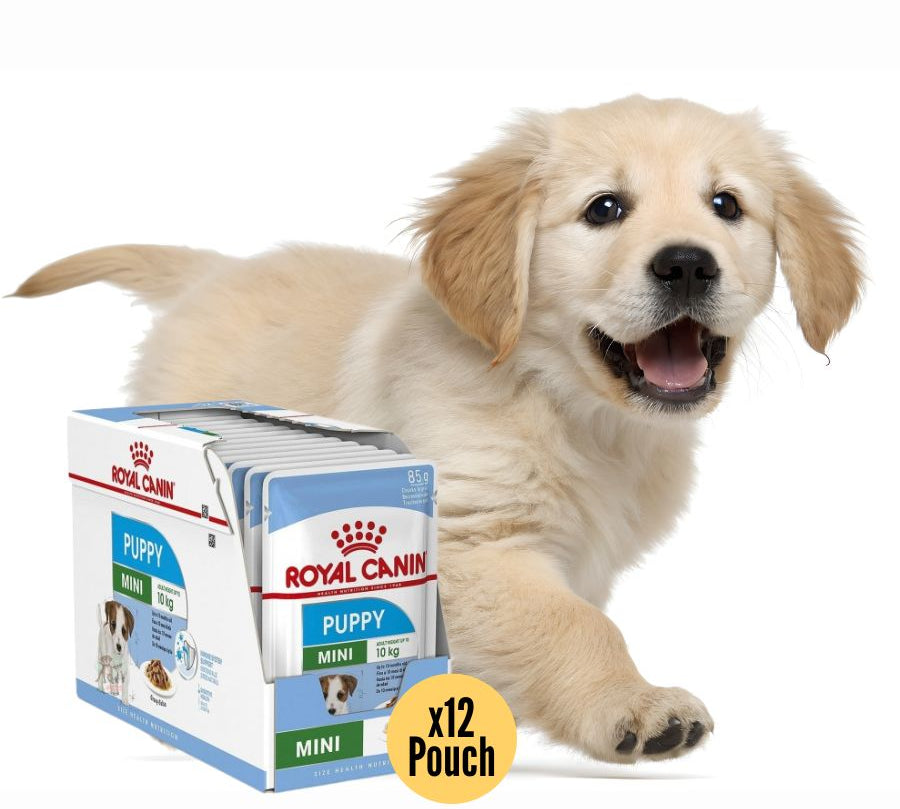 Pack 12x Royal Canin Mini Puppy Pouch: Alimento húmedo para cachorros de razas pequeñas. Favorece crecimiento, inmunidad y digestión. Alta energía y nutrientes esenciales.