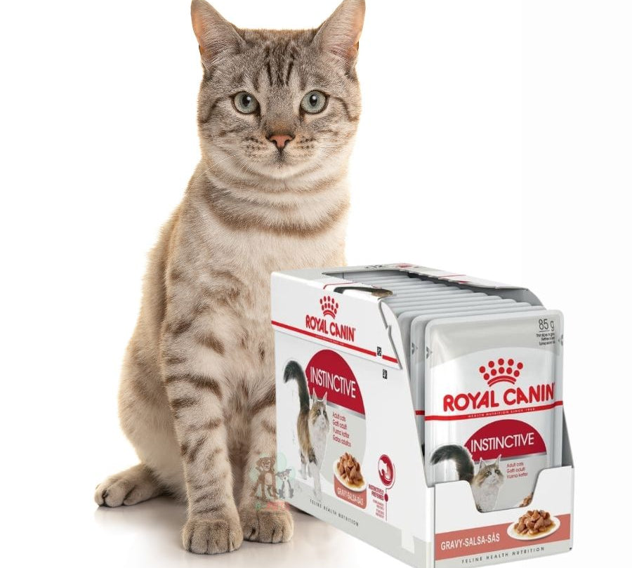 Pack 12x Royal Canin Pouch Gato Adulto Instinctive: Alimento húmedo para gatos adultos desde 12 meses. Soporte urinario, control de peso y alta palatabilidad.