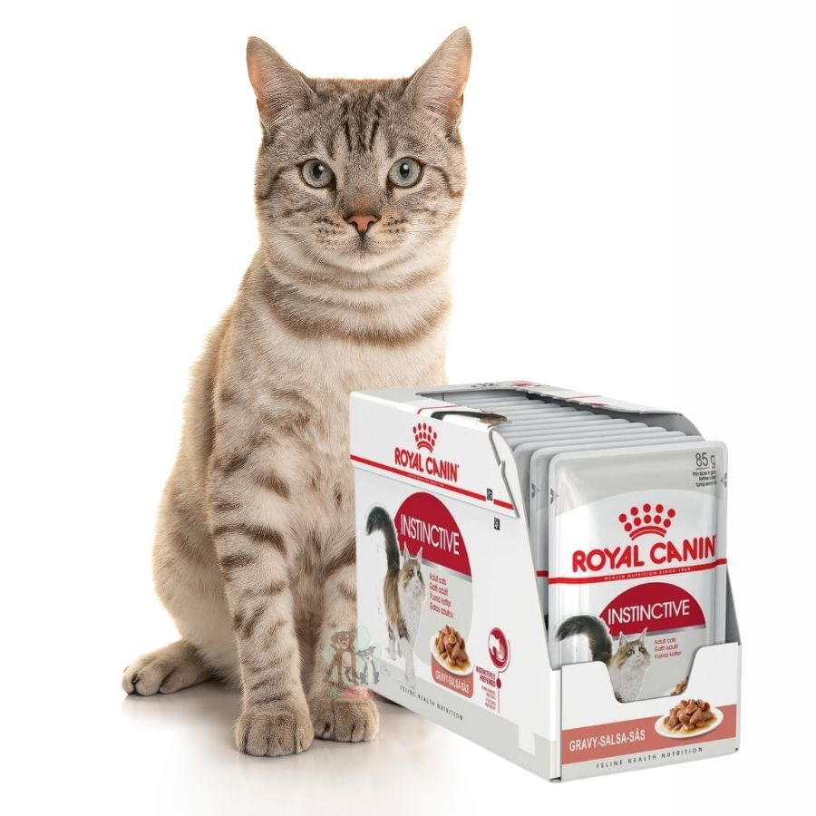 Pack 12x Royal Canin Pouch Gato Adulto Instinctive: Alimento húmedo para gatos adultos desde 12 meses. Soporte urinario, control de peso y alta palatabilidad.