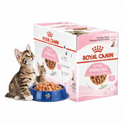 Pack 12x Royal Canin Kitten Sterilised Pouch: Alimento húmedo para gatitos esterilizados de 4 a 12 meses.