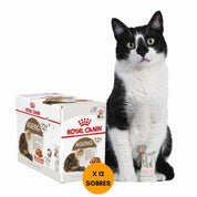Pack 12x Royal Canin Feline Ageing 12+ Húmedo: Alimento húmedo para gatos mayores de 12 años, con EPA/DHA para salud articular y fósforo adaptado para la función renal. Nutrición completa y equilibrada.