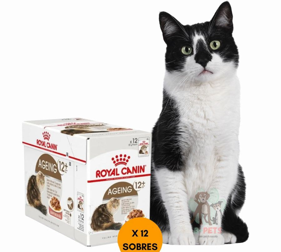 DHA para salud articular y fósforo adaptado para la función renal. Nutrición completa y equilibrada.