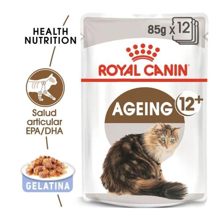 Pack 12x Royal Canin Feline Ageing 12+ Húmedo: Alimento húmedo para gatos mayores de 12 años, con EPA/DHA para salud articular y fósforo adaptado para la función renal. Nutrición completa y equilibrada.
