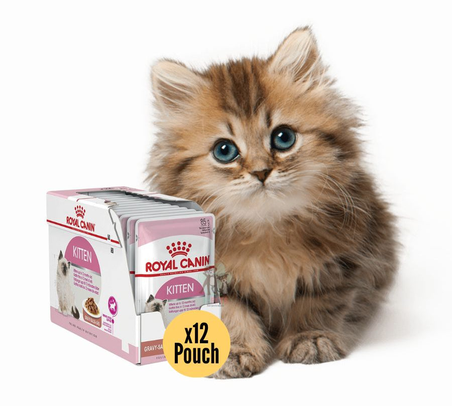 Pack 12x Royal Canin Pouch Instinctive Gato Kitten: Alimento húmedo especializado para gatitos hasta 12 meses, apoya el crecimiento y fortalece el sistema inmune. Textura adecuada, rico en nutrientes.