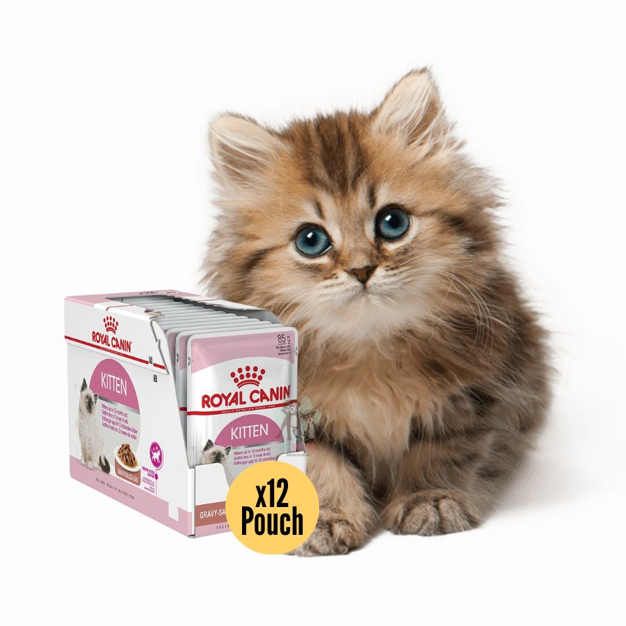 Pack 12x Royal Canin Pouch Instinctive Gato Kitten: Alimento húmedo especializado para gatitos hasta 12 meses, apoya el crecimiento y fortalece el sistema inmune. Textura adecuada, rico en nutrientes.