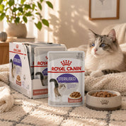 Pack 12x Royal Canin Pouch Sterilised Adulto 85gr, comida húmeda en gelatina para gatos esterilizados. Mantiene el peso ideal y promueve la salud urinaria.