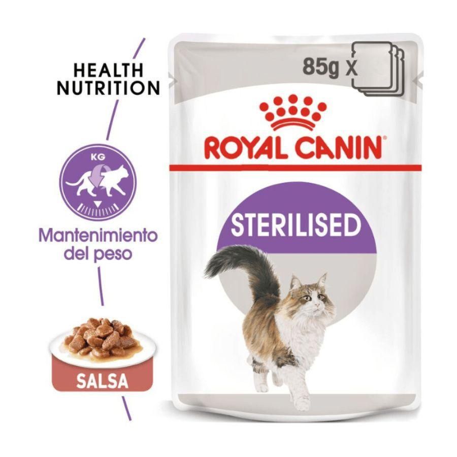 Pack 12x Royal Canin Pouch Sterilised Adulto 85gr, comida húmeda en gelatina para gatos esterilizados. Mantiene el peso ideal y promueve la salud urinaria.