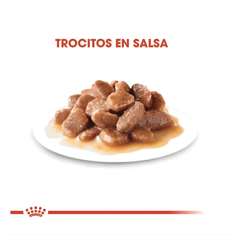 Pack 12x Royal Canin Pouch Sterilised Adulto 85gr, comida húmeda en gelatina para gatos esterilizados. Mantiene el peso ideal y promueve la salud urinaria.