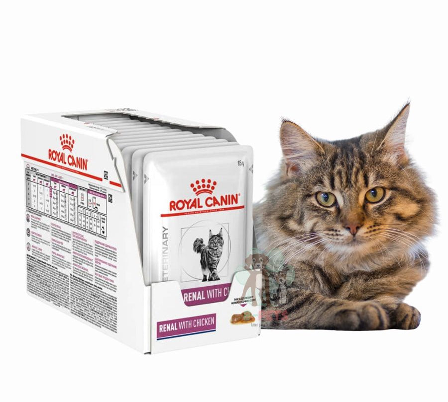 Pack 12x Royal Canin Renal con Pollo Pouch, ideal para gatos con insuficiencia renal. Baja carga renal, alta digestibilidad y sabor irresistible.