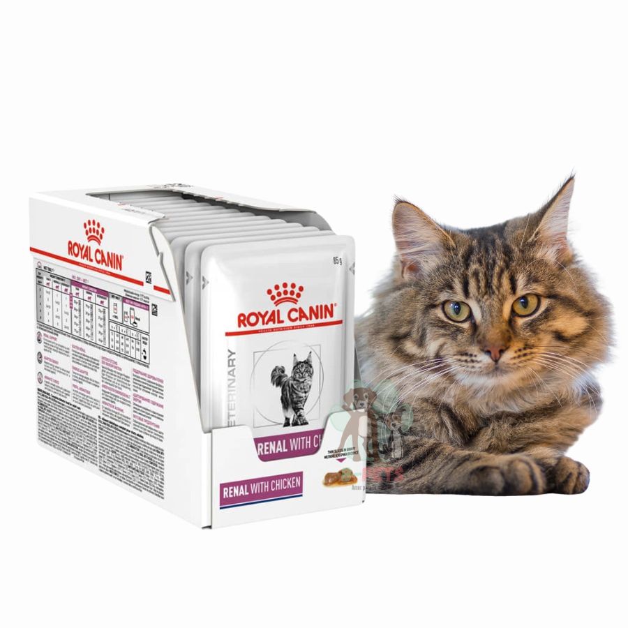 Pack 12x Royal Canin Renal con Pollo Pouch, ideal para gatos con insuficiencia renal. Baja carga renal, alta digestibilidad y sabor irresistible.