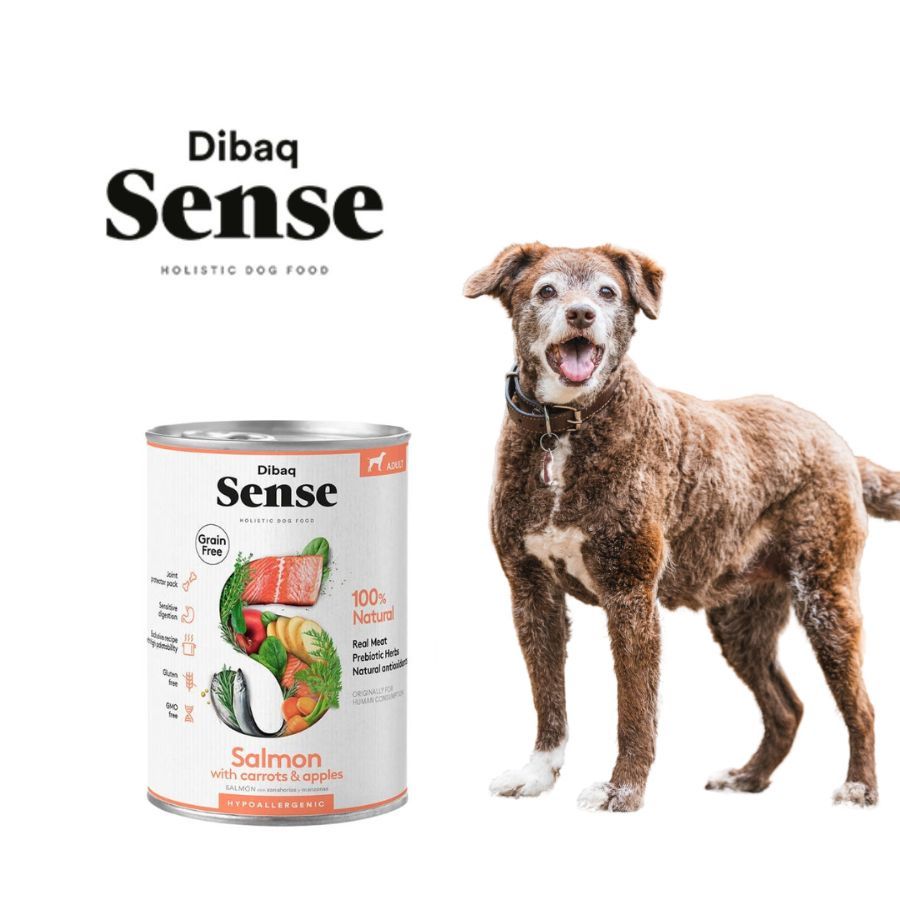 Pack 12x Dibaq Sense Alimento Húmedo Salmón Lata, receta grain free con salmón fresco, protectores articulares y antioxidantes naturales.
