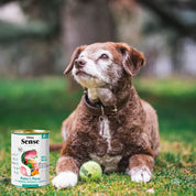 Pack 12x Dibaq Sense Lata para Perros Senior Pato y Pavo Light alimento húmedo natural, bajo en calorías, ideal para perros mayores o con sobrepeso.