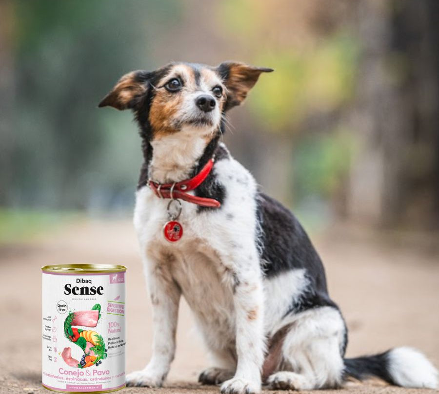 Pack 12x Dibaq Sense Lata para Perros Conejo y Pavo alimento húmedo natural, hipoalergénico y fácil de digerir, ideal para perros adultos con estómagos sensibles.