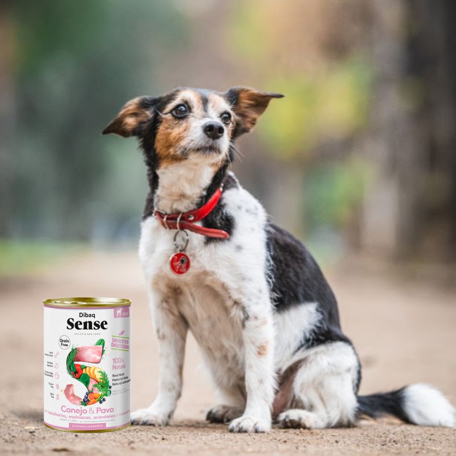 Pack 12x Dibaq Sense Lata para Perros Conejo y Pavo alimento húmedo natural, hipoalergénico y fácil de digerir, ideal para perros adultos con estómagos sensibles.
