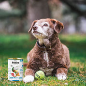 Pack 12x Dibaq Sense Lata para Perros Merluza y Atún receta hipoalergénica sin carne ni cereales, ideal para perros con digestión sensible.