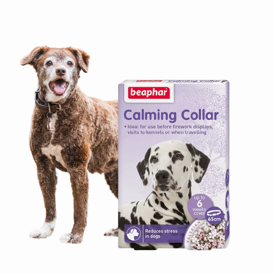 Pack 3x Beaphar Collar Calmante para Perros, con valeriana y lavanda, reduce el estrés y la ansiedad hasta por 6 semanas.