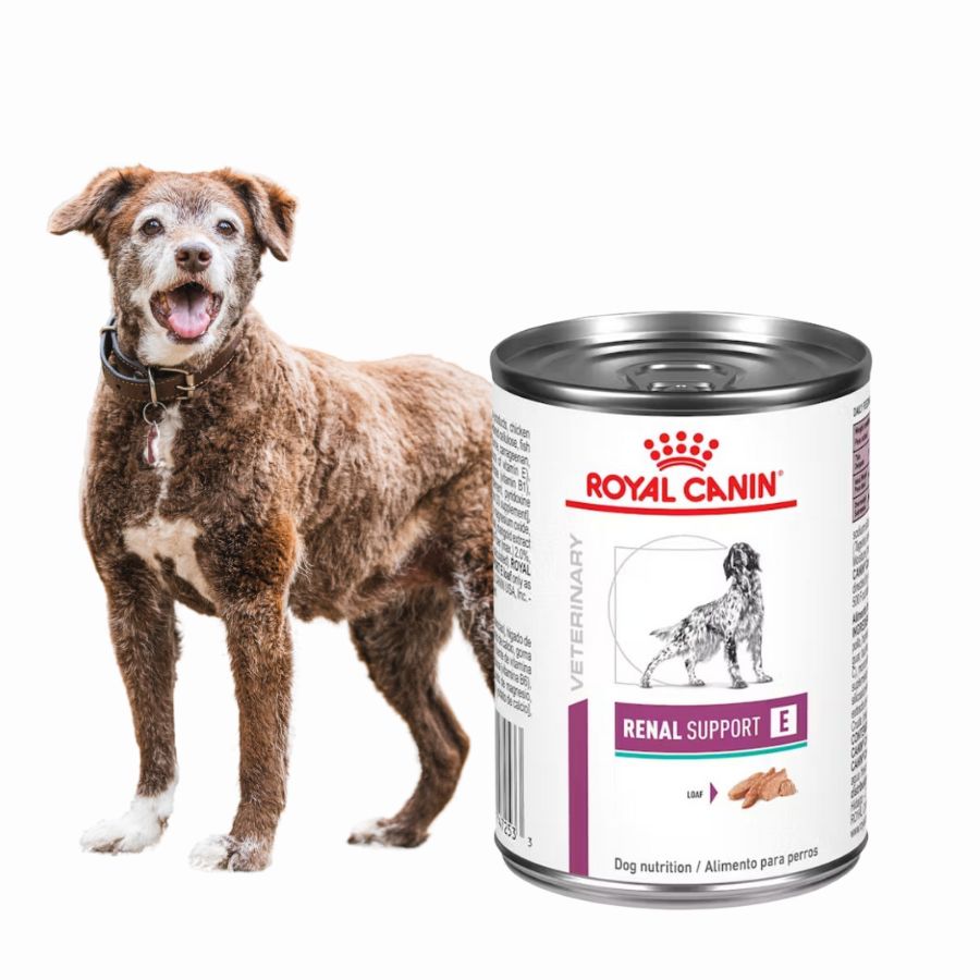 Royal Canin Renal Support Perro Lata es un alimento húmedo con bajo fósforo y proteínas seleccionadas, ideal para perros con insuficiencia renal crónica.