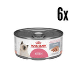 Pack 6x Lata Royal Canin Kitten