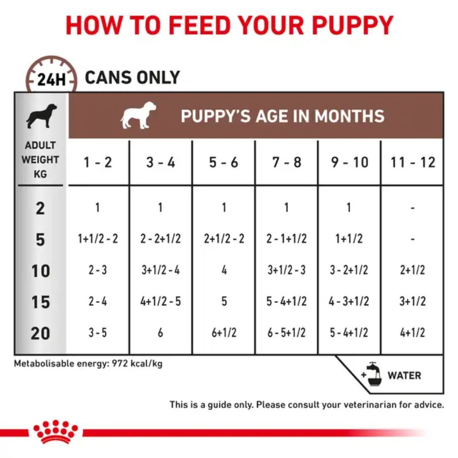 Pack 6x Royal Canin Lata Gastrointestinal Puppy 195g alimento húmedo digestible y energético para cachorros con sensibilidad gastrointestinal.