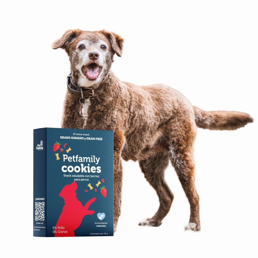 Pack 6x PetFamily Cookies Snack Saludable con Berries para Perros, galletas suaves, naturales y aptas para humanos, sin azúcar añadida ni colorantes.