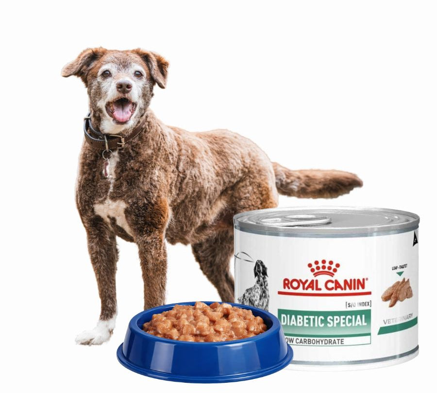 Pack 6x Royal Canin Diabetic Perro Lata ayuda a regular la glucosa en perros diabéticos, con bajo almidón, alto contenido proteico y antioxidantes esenciales.