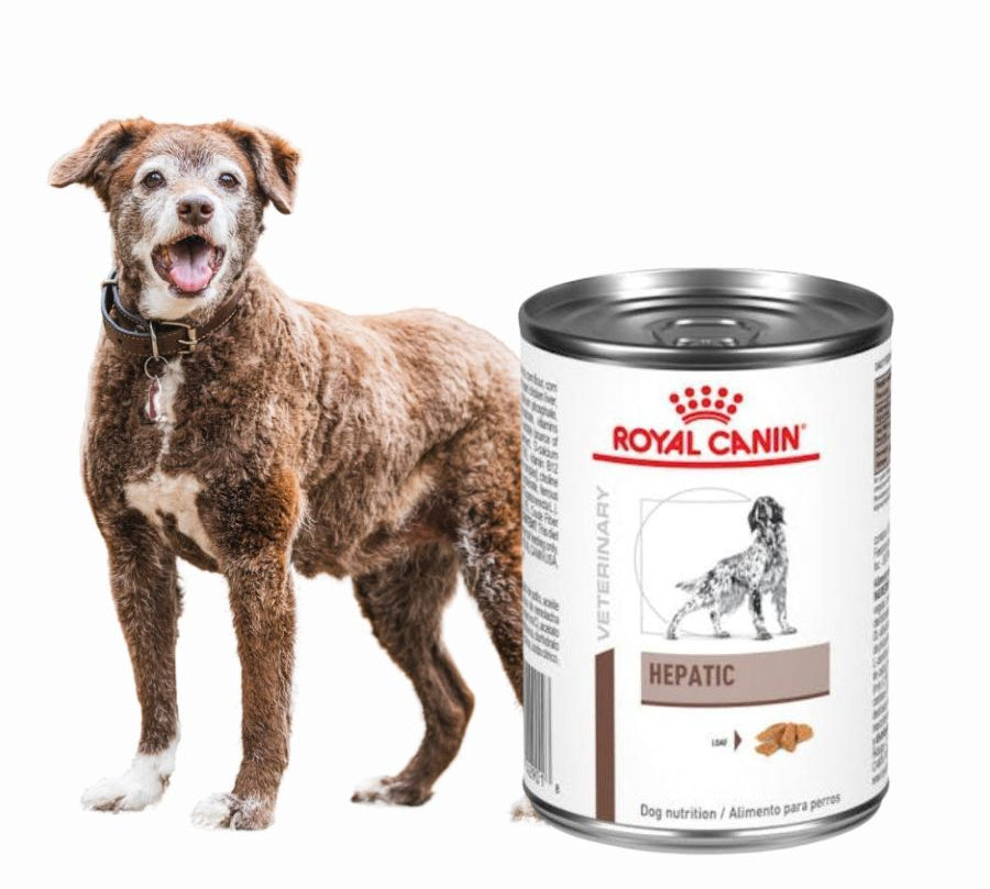 Pack 6x Royal Canin Hepatic Perro Lata, alimento terapéutico bajo en cobre y alto en energía, ideal para perros con problemas hepáticos.