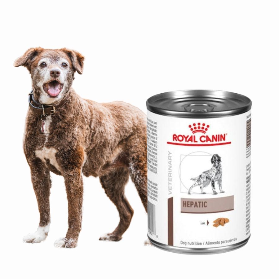 Pack 6x Royal Canin Hepatic Perro Lata, alimento terapéutico bajo en cobre y alto en energía, ideal para perros con problemas hepáticos.